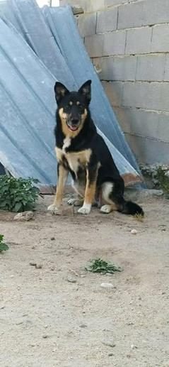 MIKA