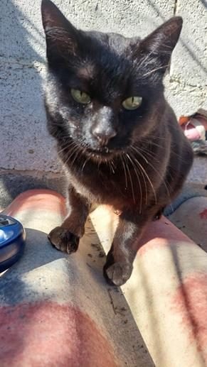 TROBAT