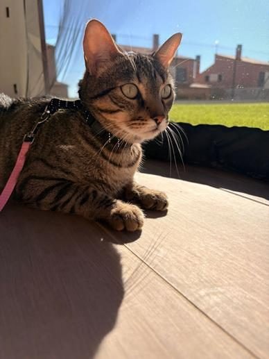 CHLOE